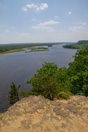 Cactus Bluff