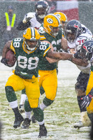 Green Bay Packers 2016