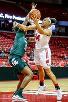 DKI190214017_MSU_at_WIS