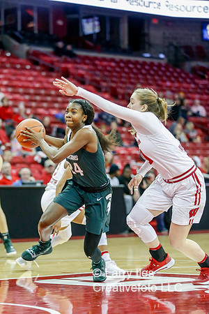 DKI190214009_MSU_at_WIS