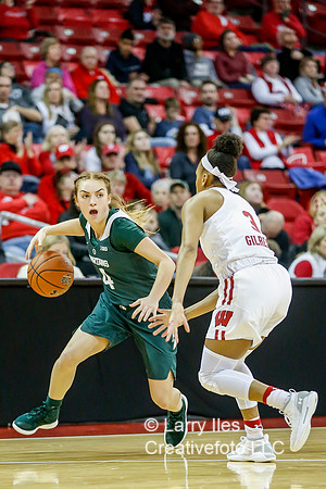 DKI190214007_MSU_at_WIS