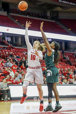 DKI190214020_MSU_at_WIS