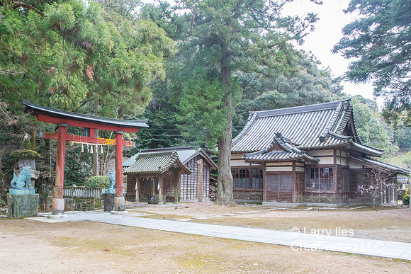 5D4_6968
