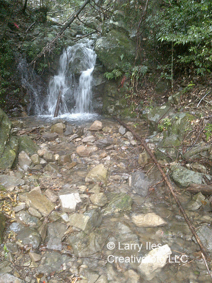DSC00189