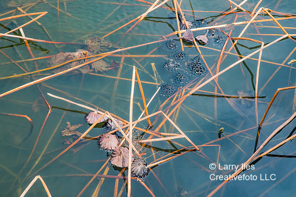 5D4_8548