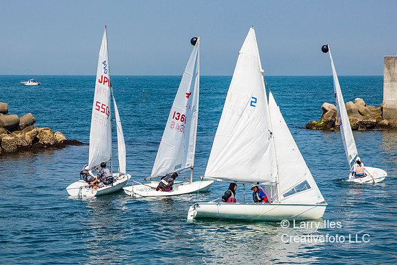 5D4_9982