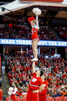 DKI180119017_Wisconsin_Illinois