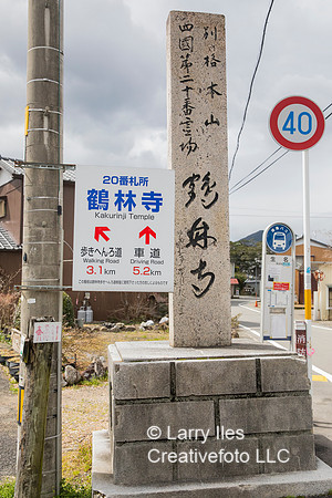 5D4_7002