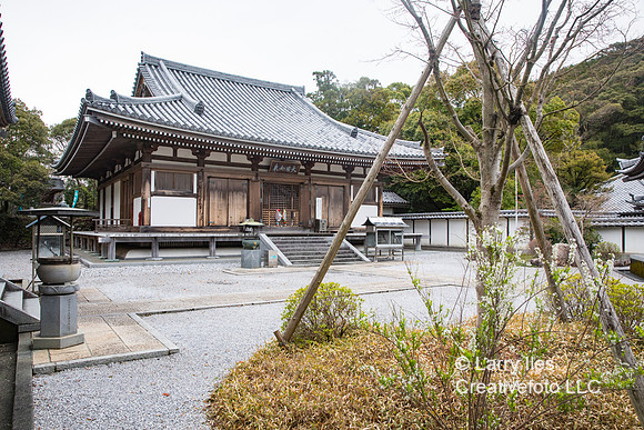 5D4_7317