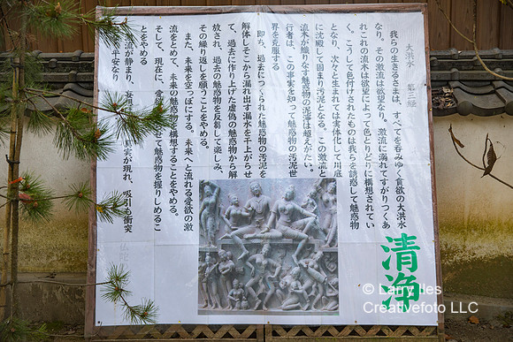 5D4_8196