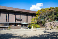 5D4_8353