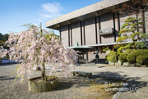 5D4_8355