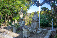 5D4_8356