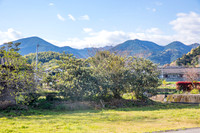 5D4_8364