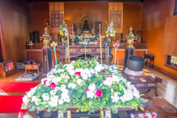 5D4_8361