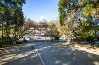 5D4_8350