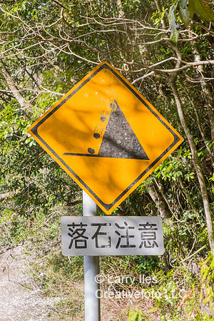 5D4_7455