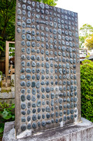 5D4_9618