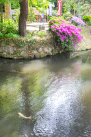 5D4_9600