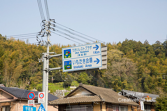 5D4_7862