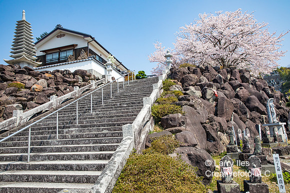 5D4_7772