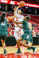 DKI190214015_MSU_at_WIS