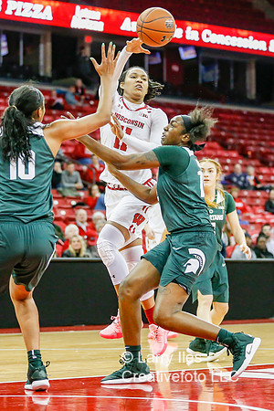 DKI190214015_MSU_at_WIS