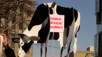 RALLY_SIGNS_0051