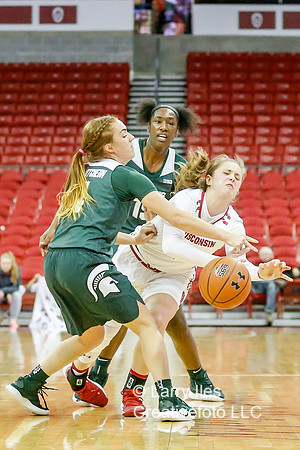 DKI190214016_MSU_at_WIS
