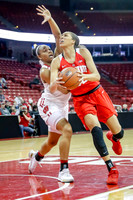 DKI190228017_OSU_at_WIS