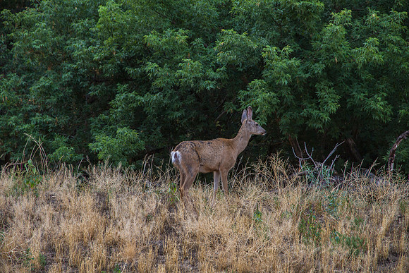 20130823_0458