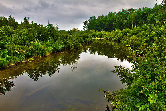 Otter Creek